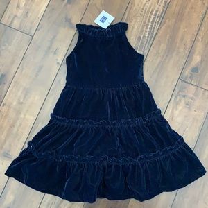 Worn Once Janie and Jack Blue Velvet dress